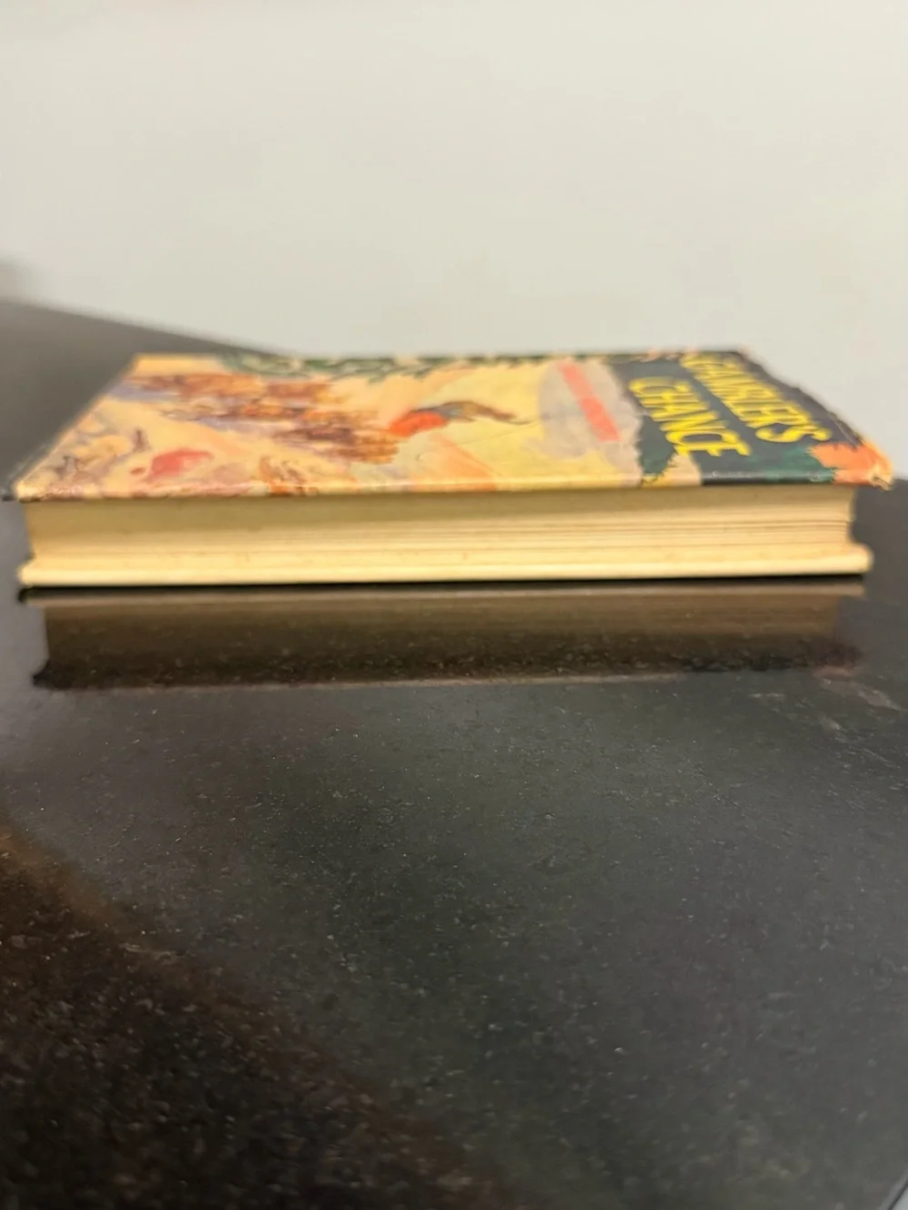 The Gamblers Chance. Author, James B. Hendrix. Vintage book.